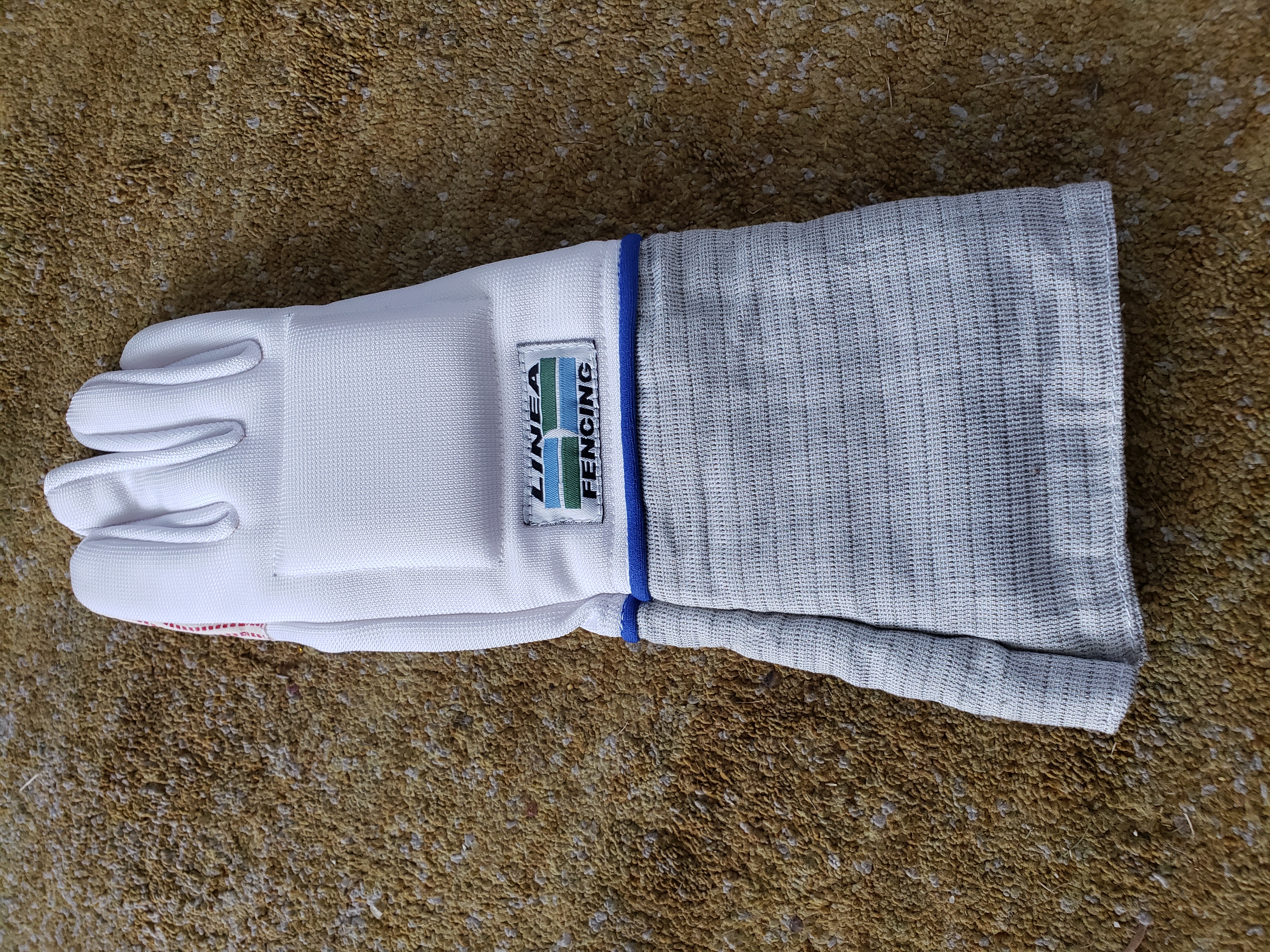 Electric Sabre Glove